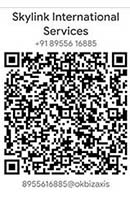 SkylinkPay 