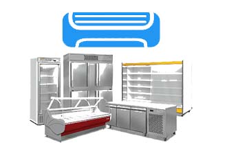 skylink jaipur services